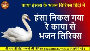 Hansa Nikal Gaya Re Kaya Se Lyrics