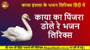 काया का पिंजरा डोले रे भजन लिरिक्स